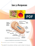 Bacterias y Arqueas