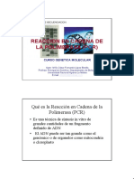 Diapositiva Pcr 2003a