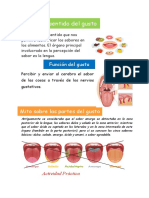 Sentido del gusto y sus funciones