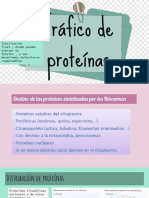 Transporte de Proteínas