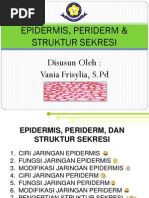Download Bahan Ajar Epidermis Periderm  Struktur Sekresi Vania FSPd by Vania Frisylia SN52735821 doc pdf