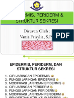 Download Bahan Ajar Epidermis Periderm  Struktur Sekresi Vania FSPd by Vania Frisylia SN52735821 doc pdf