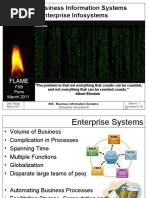 09 Enterprise Systems 02