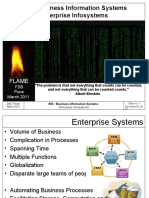 09 Enterprise Systems 02