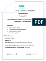 Informe de Practica 4 - Grupo A2