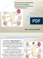 Tejido Conectivo