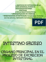 Cuidados de Enfermeria Sistema Gastrointestinal