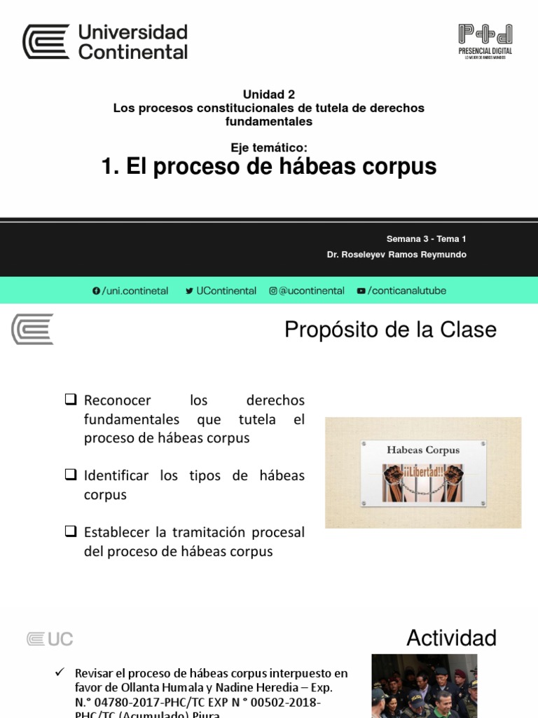 Proceso de Hábeas Corpus en Derechos Humanos | PDF | Habeas corpus ...