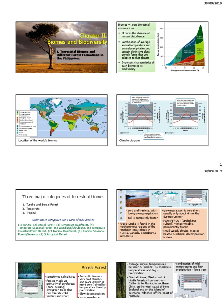 Beyond Belief The Unexpected Biome With The Highest Soil Nutrients - bur81i3