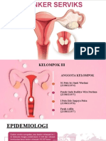 Kelompok 3 - Kanker Serviks