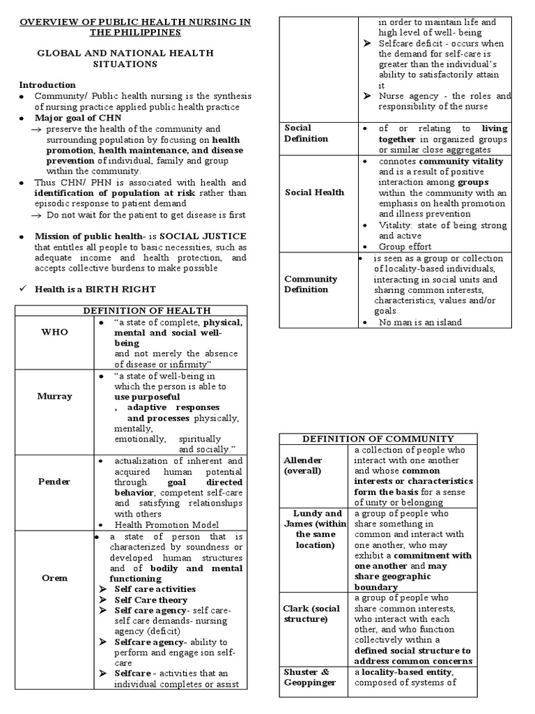 OVERVIEW OF PUBLIC HEALTH NURSING IN THE PHILIPPINES Student | PDF ...