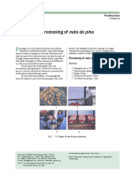 Processing of Nata de Pina: Practical Technology PT2005-20