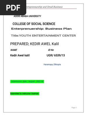 Business  plan(1)
