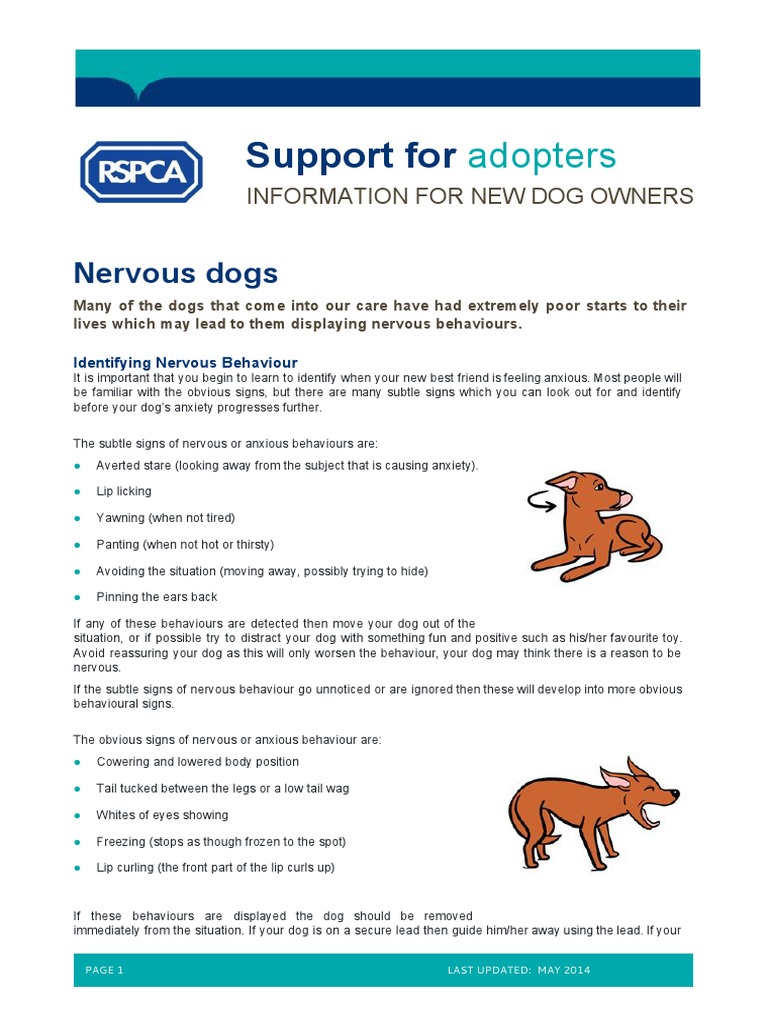 Advice For Nervous Dogs (164 KB) PDF Dog Training Dogs