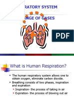 Respiratory System Exchange of Gases: Powerpoint Lecture Slide Presentation by Robert J. Sullivan, Marist College