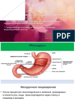 MG III Rus Sd Clin Gastrit 259 Boal 259 Ulceroas 259 Pancreatit 259 (1)