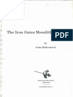 Radovanovic 1996 The Iron Gates Mesolithic