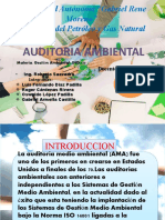 Auditoria Ambiental