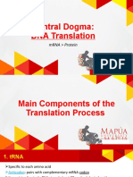Central Dogma: DNA Translation: mRNA Protein