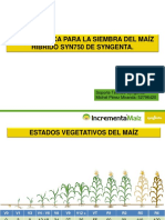 Guía práctica del maíz híbrido Syn750