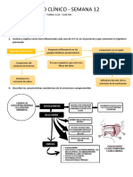 CASO CLÍNICO SEMANA 12 - GRUPO 5B