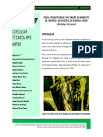 Circular Técnica 3 Trigo Produtividade em Função Do Momento de Controle Do Percevejo Barriga Verde