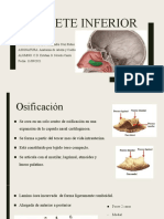 Tarea 2 Esteban Novelo Canto