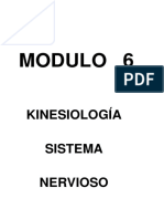 PDF Kinesiologia Sistema Nervioso