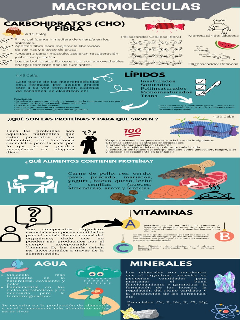 Infografía Pdf Nutrientes Alimentos