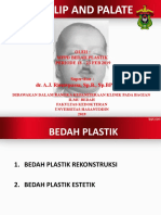 Bedah Plastik