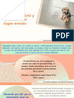 10 Esp Perro Higienico Parte 10-1-5 PDF Free