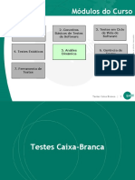 ISTQB-capitulo5_Dynamic Testing_CX_Branca_v3