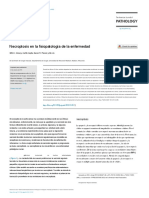 S2 - Necroptosis in The Pathophysiology of Disease