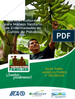 Labores Culturales Cultivo de Platano.