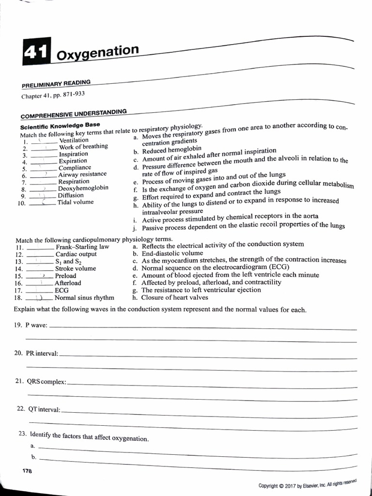 Oxygenation Study Guide | Download Free PDF | Breathing | Clinical Medicine