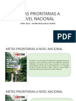 METAS PRIORITARIAS A NIVEL NACIONAL.PPT