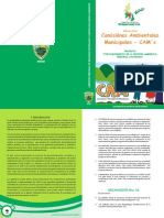 Comisiónes Ambientales Municipales - CAM S: Informe Final