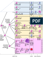 Diagrama de Hematología