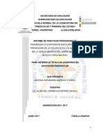 PDF Informe