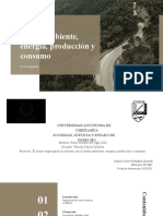 El Sector Empresarial en Relación Con El Medio Ambiente, Energía, Producción y Consumo.