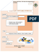 Peritaje Grupo 10 Modificado