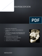 Sensopercepción: procesos y sistemas