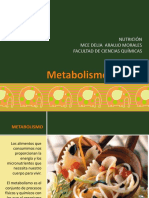 10._Metabolismo_de_nutrientes_2020