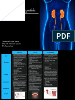 Enfermedades Urogenitales