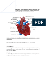 Atividade2_Texto_Sistema_Cardiovascular