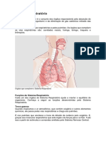 Atividade3 Texto Sistema Respiratório