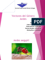 Vectores Del Género Aedes