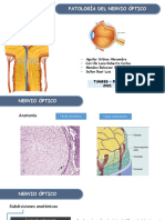 Patología Del Nervio Óptico - Seminario