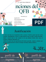 Funciones Del QFB