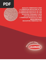 Download LALLEMAND_MLF_IN_WINE by tlukacic SN52750901 doc pdf
